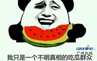 表情吃瓜是啥意思啊